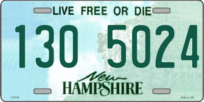 NH license plate 1305024