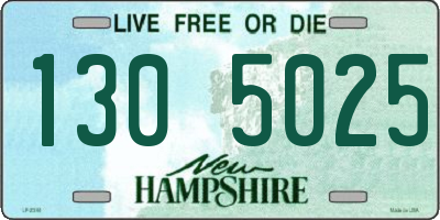 NH license plate 1305025