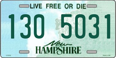 NH license plate 1305031