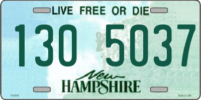 NH license plate 1305037