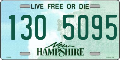 NH license plate 1305095