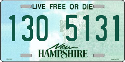 NH license plate 1305131