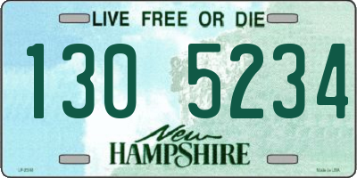 NH license plate 1305234