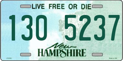 NH license plate 1305237
