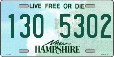 NH license plate 1305302