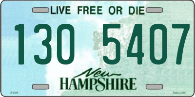 NH license plate 1305407