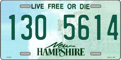 NH license plate 1305614