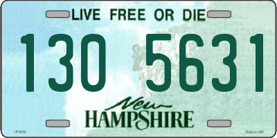 NH license plate 1305631