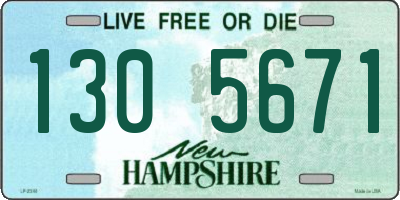 NH license plate 1305671