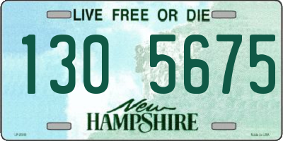 NH license plate 1305675