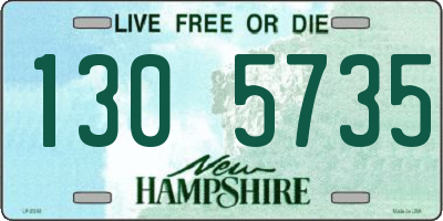 NH license plate 1305735