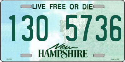 NH license plate 1305736