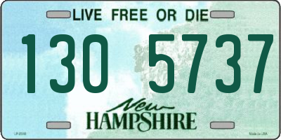 NH license plate 1305737