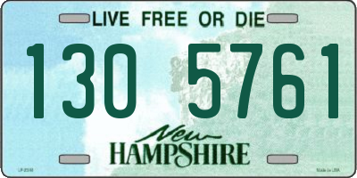 NH license plate 1305761