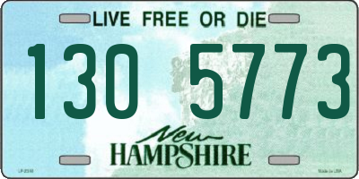 NH license plate 1305773