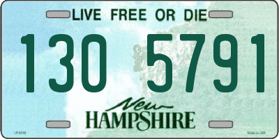 NH license plate 1305791