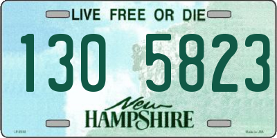 NH license plate 1305823