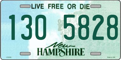 NH license plate 1305828