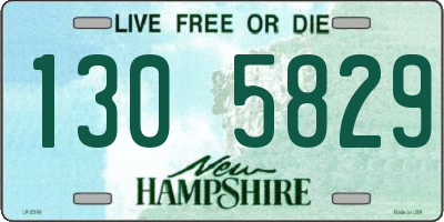 NH license plate 1305829