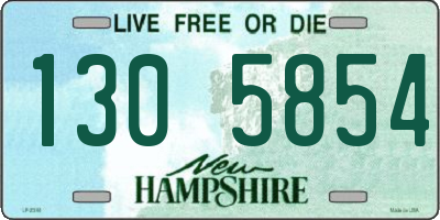 NH license plate 1305854