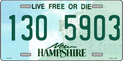 NH license plate 1305903