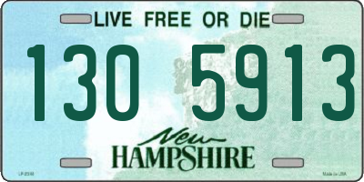 NH license plate 1305913