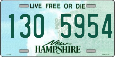 NH license plate 1305954