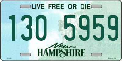 NH license plate 1305959