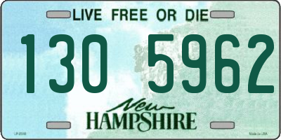 NH license plate 1305962