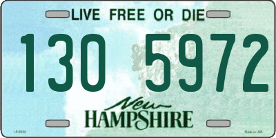 NH license plate 1305972
