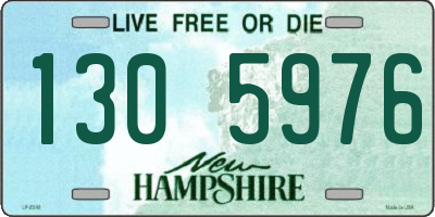 NH license plate 1305976