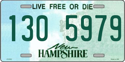NH license plate 1305979