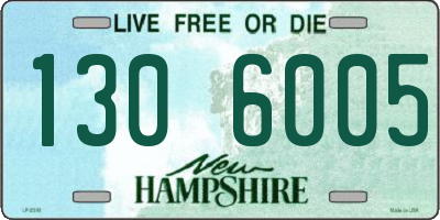 NH license plate 1306005