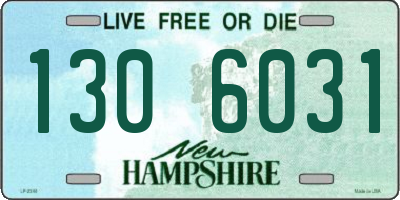 NH license plate 1306031