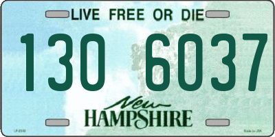 NH license plate 1306037
