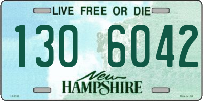 NH license plate 1306042