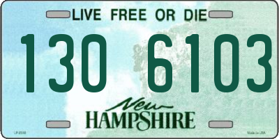 NH license plate 1306103