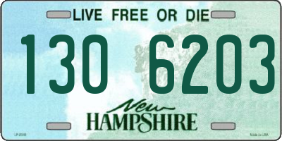 NH license plate 1306203
