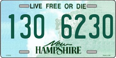 NH license plate 1306230