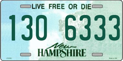 NH license plate 1306333
