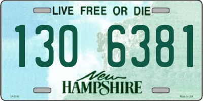 NH license plate 1306381