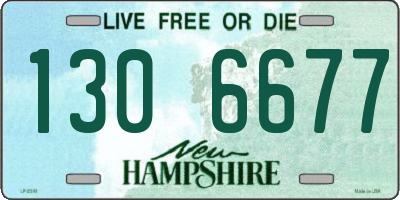 NH license plate 1306677