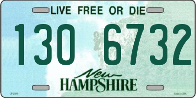 NH license plate 1306732