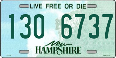 NH license plate 1306737
