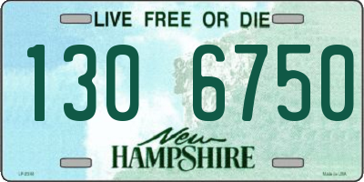 NH license plate 1306750