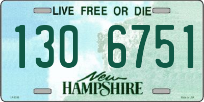 NH license plate 1306751