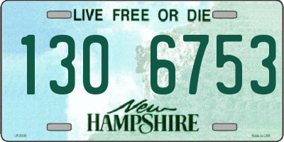 NH license plate 1306753