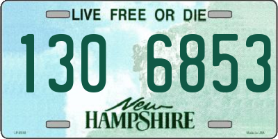 NH license plate 1306853