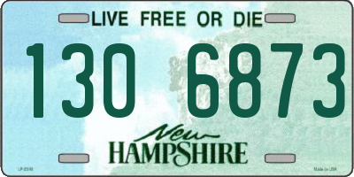 NH license plate 1306873