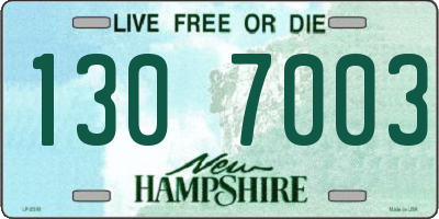 NH license plate 1307003